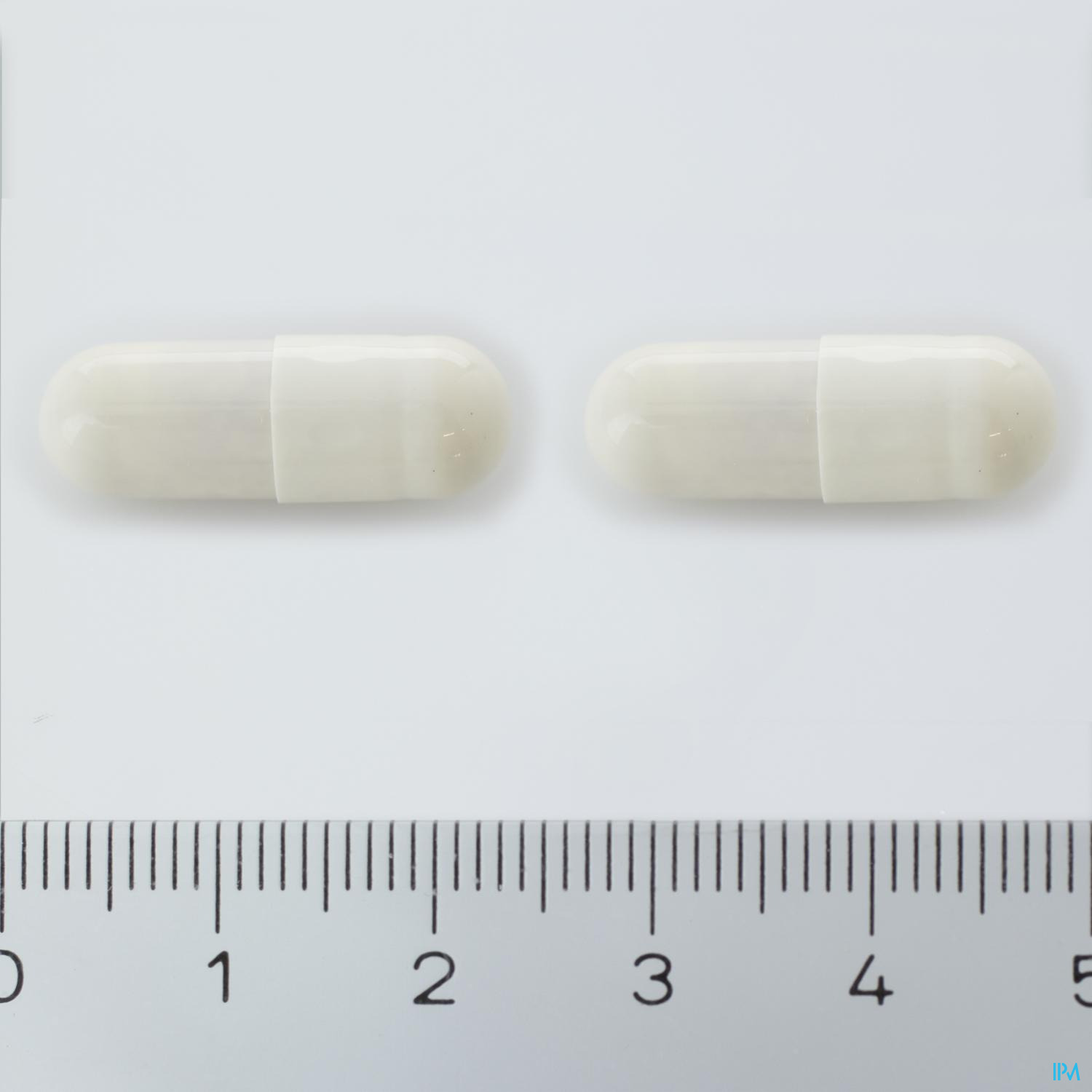 LACTEOL CAPS. 20 LACTEOL CAPS. 20