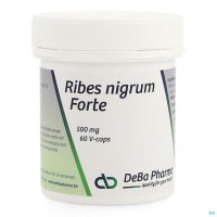 Le Ribes-nigrum ou cassis a un effet efficace sur divers aspects physiologiques du corps. Il a des propriétés antioxydantes, améliore la circulation sanguine périphérique, réduit la raideur et la fatigue musculaire et soutient la fonction de la glande sur