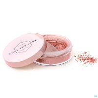 CENT PUR CENT BLUSH MINERAL PDRE LIBRE ROSE 7G