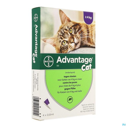 ADVANTAGE 80 CHATS >4KG 4X0,8ML ADVANTAGE 80 CHATS >4KG 4X0,8ML