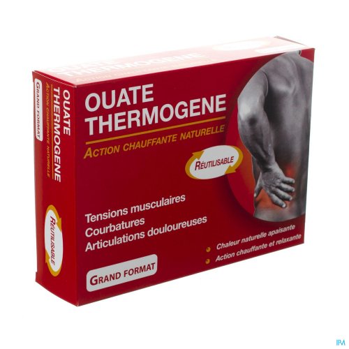 THUASNE LE THERMOGENE OUATE GM 60G