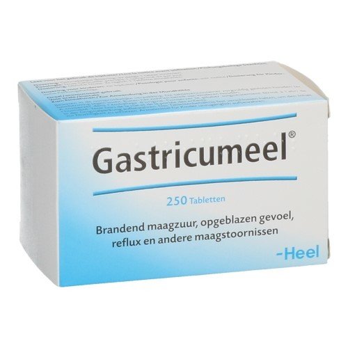 GASTRICUMEEL COMP 250