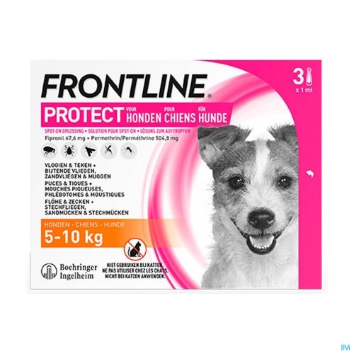 FRONTLINE PROTECT SPOT ON OPL HOND 5-10KG PIPET 3